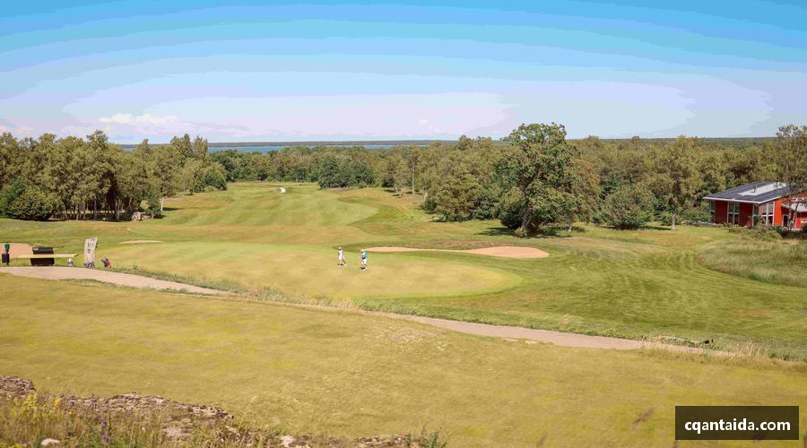 333体育直播热血赛事，巅峰对决！🏆